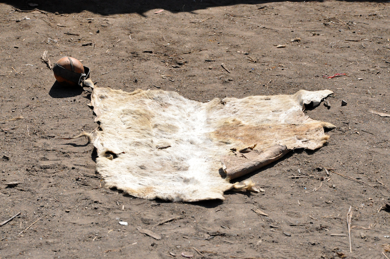 Ngorongoro Crater - Serengeti National Park